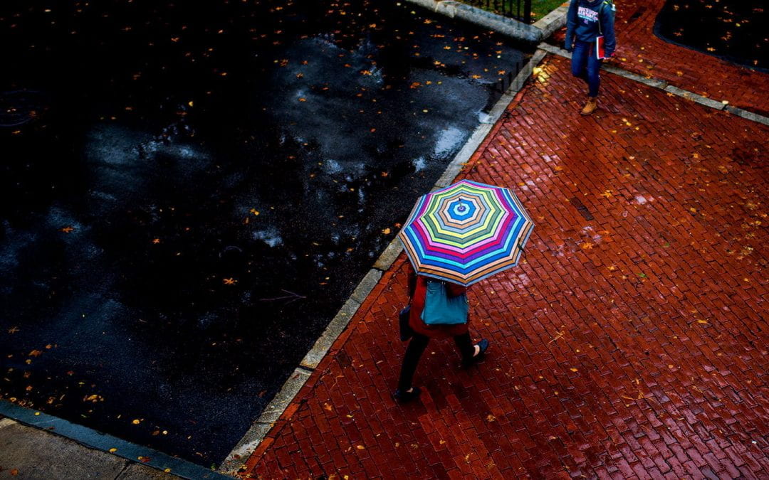 umbrella on rainy day